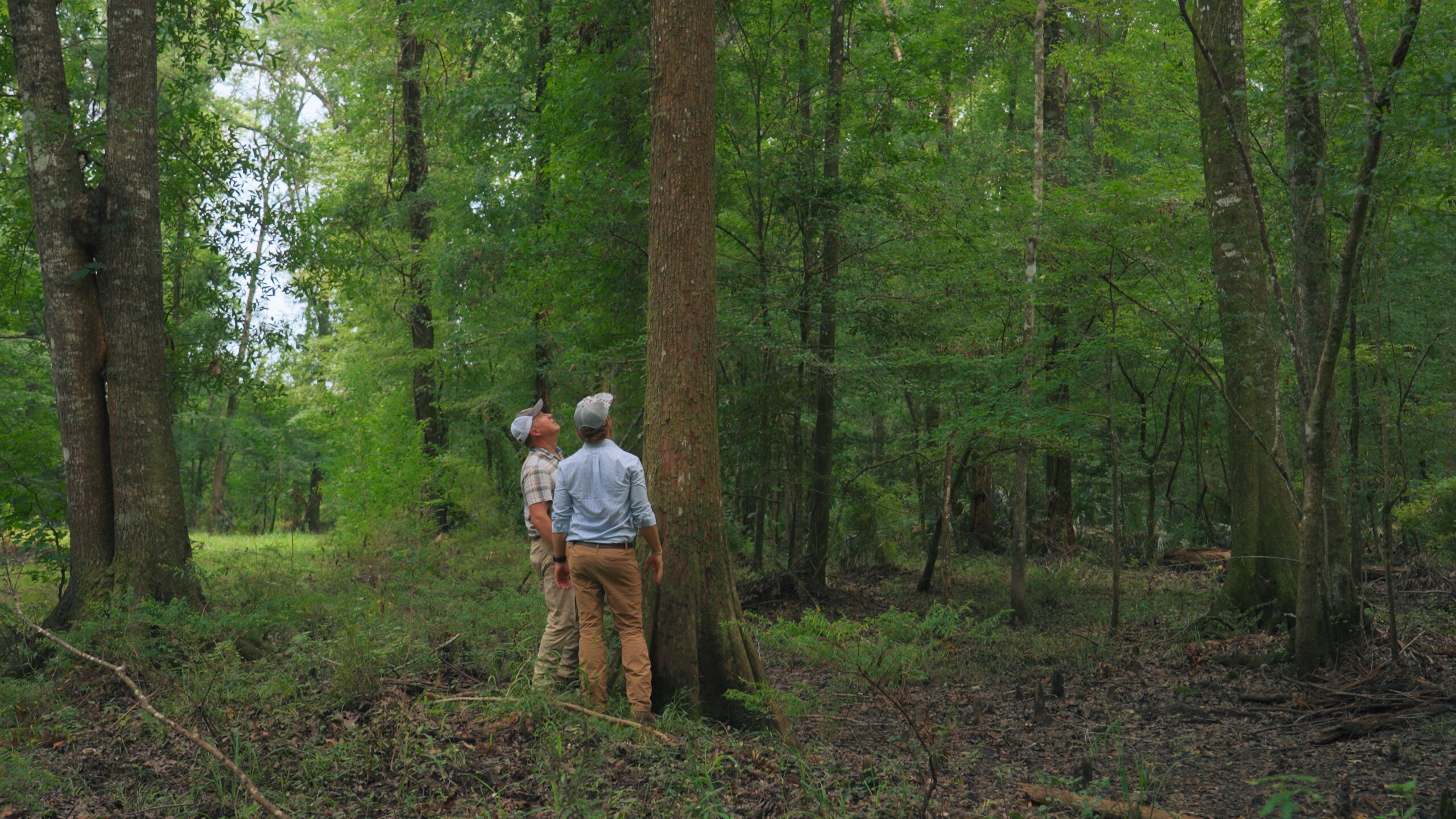 turkey hunting land for sale - crosby land co